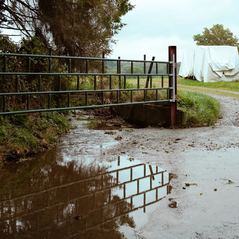 Ruisseau et entrée de pature en région germanophone