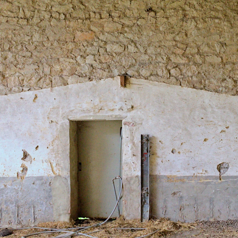 Une porte et la texture des murs dans une étable en région germanophone