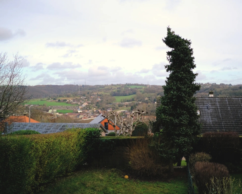 Photographie du jardin et de la vue sur la vallée de la Vesdre